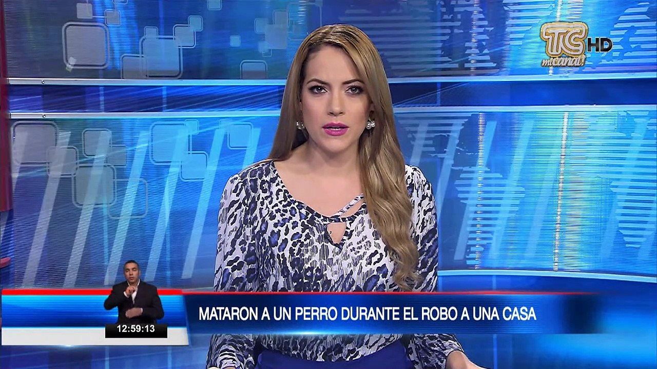 Delincuentes mataron a un perro durante robo a una casa en Guayaquil