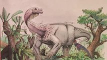 Internacional | Descubren nueva especie de dinosaurios gigantes en Sudáfrica
