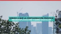 Estados | Contaminación provoca obesidad y diabetes en niños: Estudio