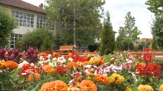 Mjedis i pastër - Jetë më e shëndetshme!-Lajme