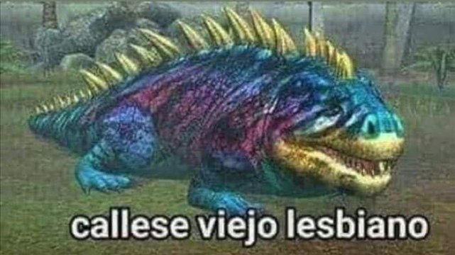 Entretenimiento | Alumnos aplican insultos de memes en la vida real