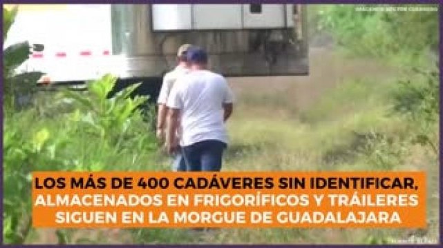 Estados | 400 cadáveres sin identificar en la morgue de Guadalajara
