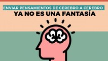 Tecnología y Ciencia | Sí es posible enviar pensamientos de cerebro a cerebro: investigadores