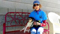 Yavapai Humane Society Needs Volunteers Like You