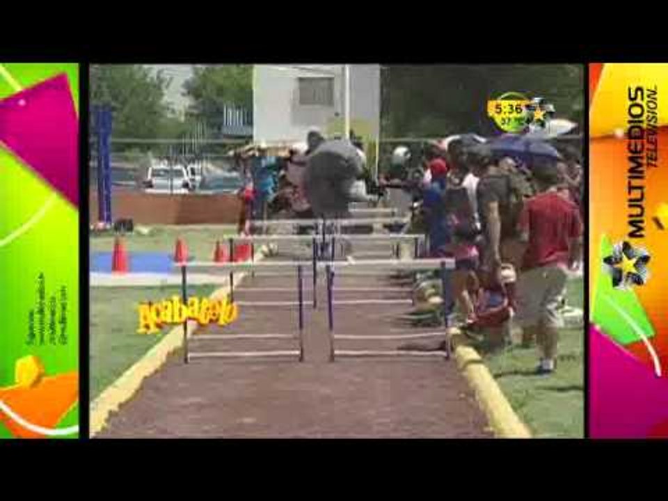 El Delfín vs La Panda