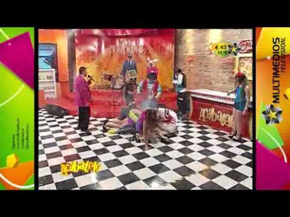 Bolita al Delfín