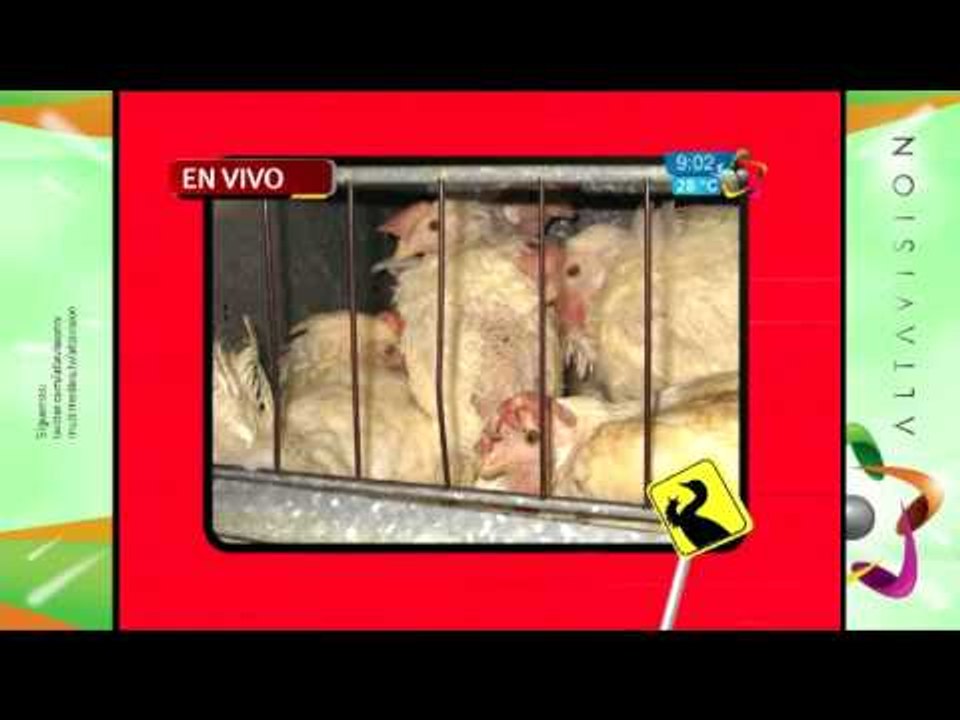 Investigación especial