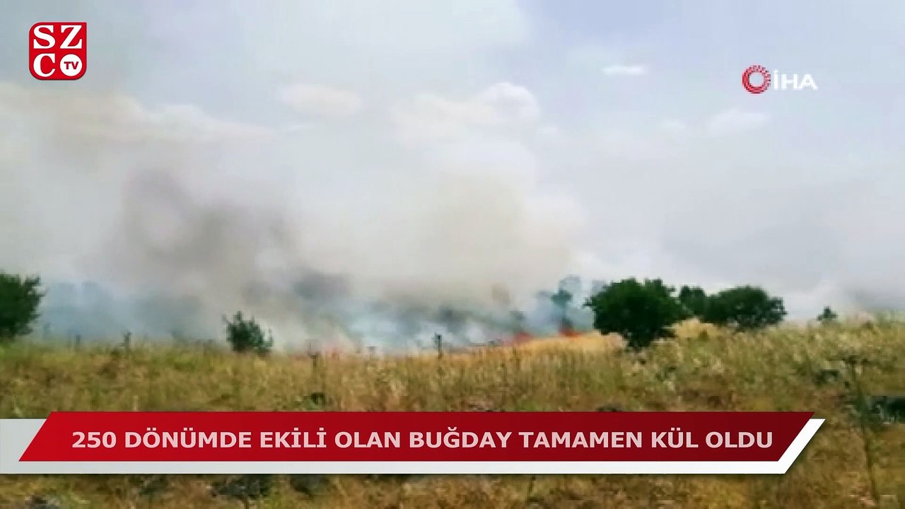 Gaziantep'te 250 dönümlük ekili alan kül oldu