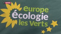 EELV : une primaire pour les Municipales à Paris