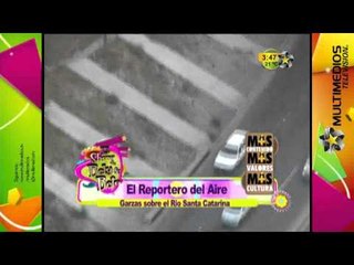 Las Garzas (Más Contenido, Más Valores, y Más Cultura)