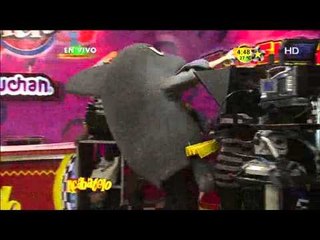 El Delfín persigue a Laura Hoo y la llena de espuma