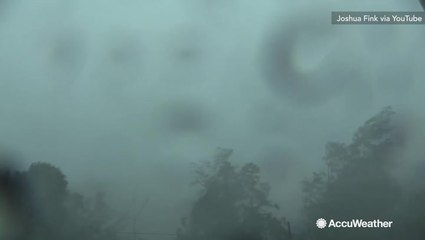 Devestating storm topples tree