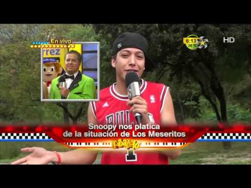 Enlace con Snoopy