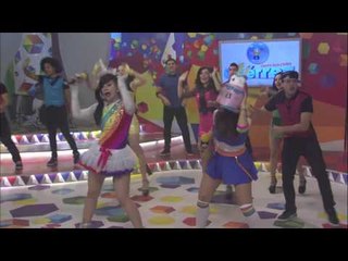 Estrellita del Mar con nueva compañera