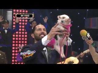 La Reina del Planeta Neta