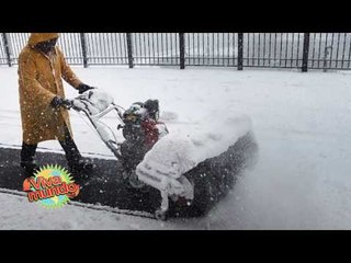 ¿Qué está sucediendo en Estados Unidos?