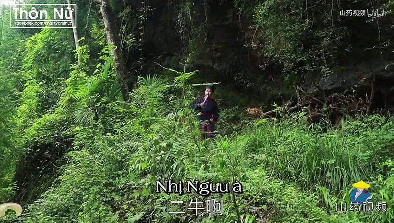 Sơn Dược TV