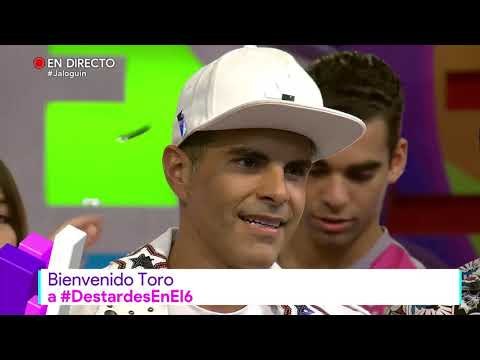 ¡Regresa Toro a Destardes! | Destardes