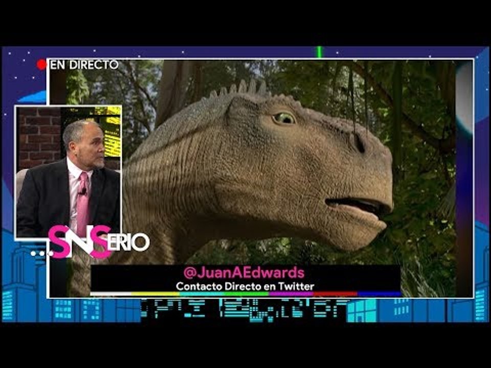 ¿Cuántos personajes ha doblado? | SNSerio
