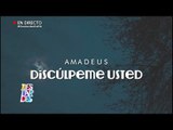 Amadeus: Discúlpeme usted | Destardes