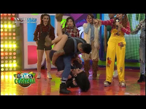 ¡Andan con toda la energía! | Destardes