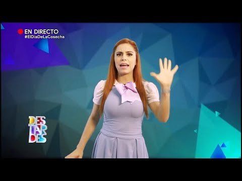 ¿Qué imagen ves? | Destardes