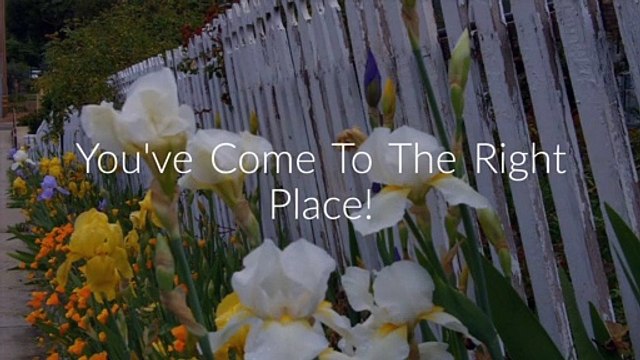 dfenz : White Vinyl Fence in Sarasota