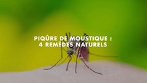 Piqûre de moustique: 4 remèdes naturels