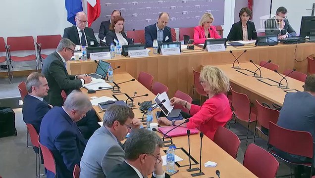 Commission du développement durable : Rénovation énergétique des bâtiments - Mercredi 29 mai 2019