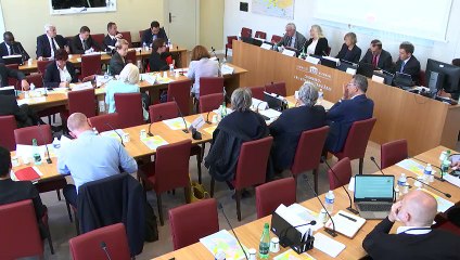 Commission des affaires étrangères : Mission Érythrée - Éthiopie - Mercredi 29 mai 2019