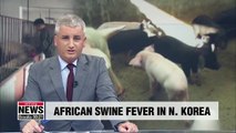 African swine fever reported in N. Korea; S. Korea's agriculture ministry holds emergency meeting