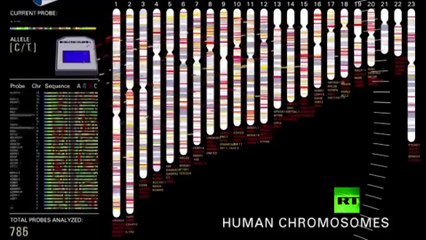 الخلق أم التطور؟ إجابة حاسمة لعلم _جينالوجيا الحمض النووي_