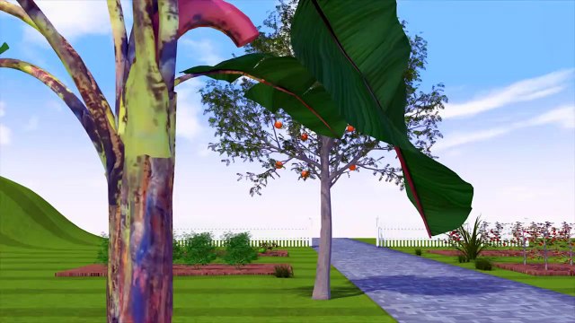 Comptines - Bande dessinée colorée française Motos et voiture bébé - Baby Kinder Ampeln