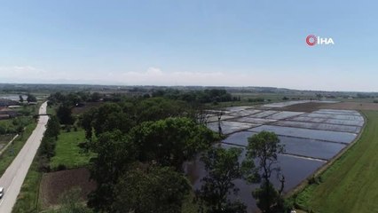 'Leylek Köyü'nün yeni misafirleri uçuşa hazırlanıyor