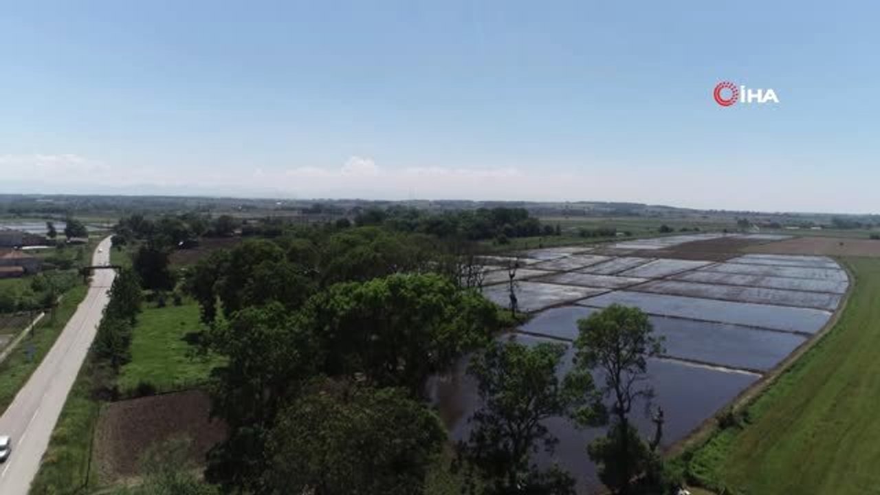 'Leylek Köyü'nün yeni misafirleri uçuşa hazırlanıyor