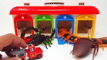 Learn Colors Jurassic World Dinosaur Tayo Chuggington Thomas Cars Toy Cockroach Special Selection #8