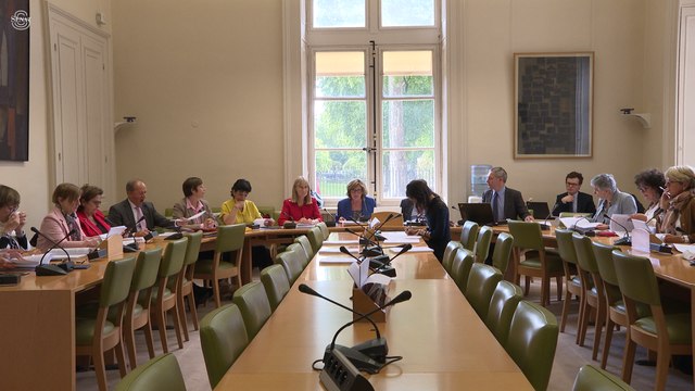 [Pédocriminalité] Conclusions de la MCI Infractions sexuelles sur mineurs commises par des adultes dans le cadre de leur métier ou de leurs fonctions”