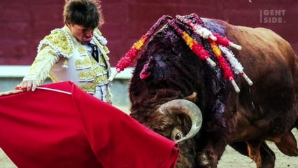 Toureiro leva chifrada no ânus em tourada em Madri e fica gravemente ferido