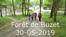Foret-de-Buzet-30-05-2019