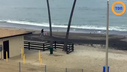 Un SDF sauve un requin échoué sur  la plage en le remettant dans la mer !