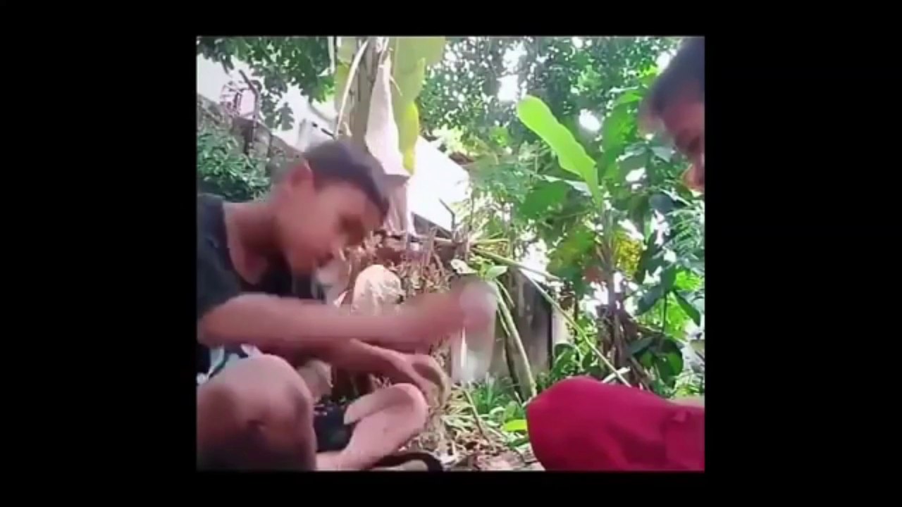 VIDEO NGAKAK