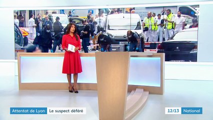 Colis piégé de Lyon : fin de la garde à vue pour le suspect