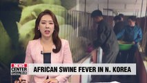 African swine fever reported in N. Korea; S. Korea's agriculture ministry holds emergency meeting