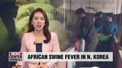 African swine fever reported in N. Korea; S. Korea's agriculture ministry holds emergency meeting