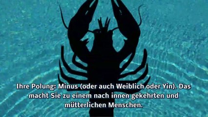 Musik Horoskop - Krebs  Cancer