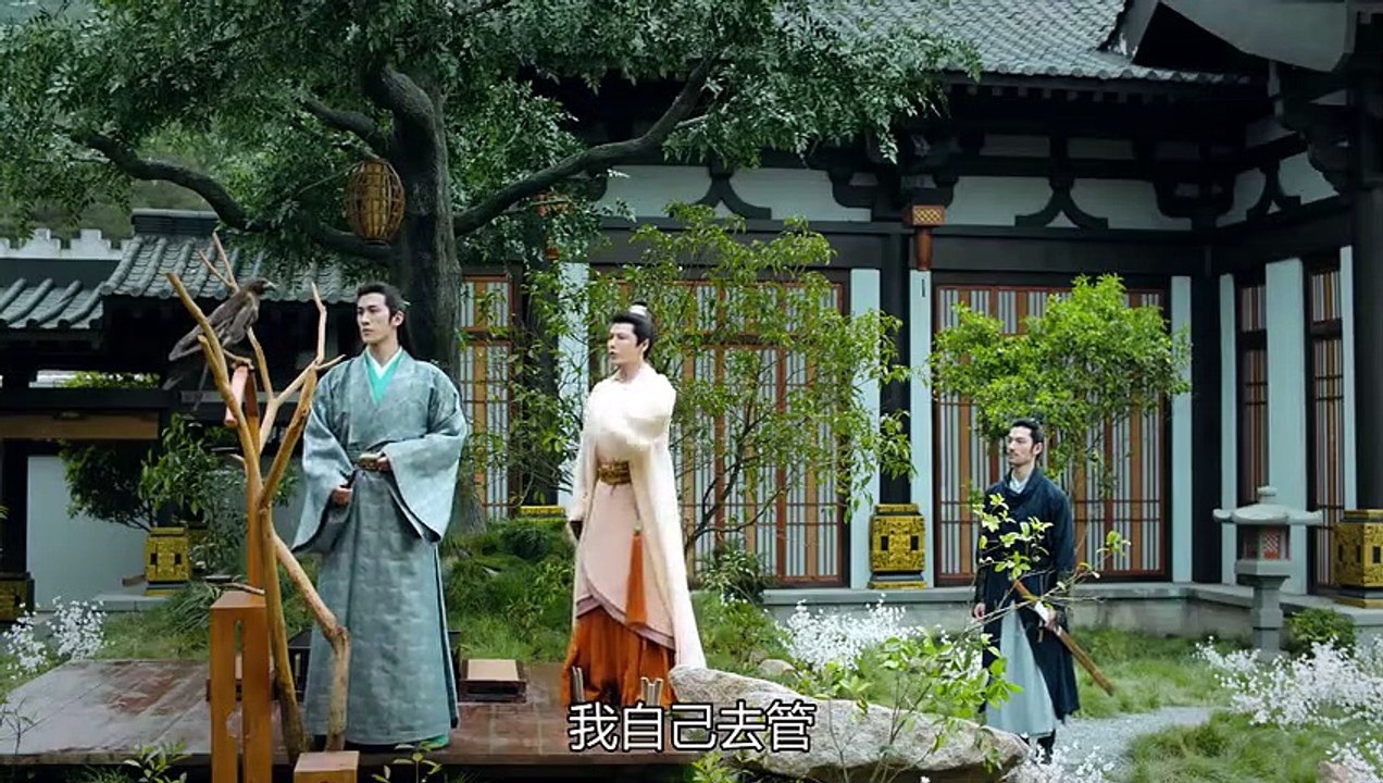 白髮07