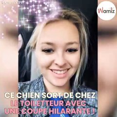 Lorsqu'elle récupère son chien chez le toiletteur, elle se met à éclater de rire