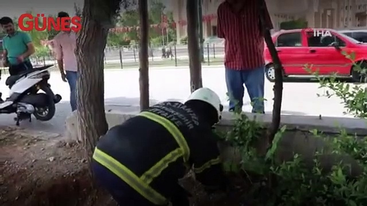 İtfaiye erinin karga ile imtihanı kameralara böyle yansıdı