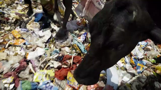 Découvrez les premières images de Dezoom , la nouvelle série documentaire d'Arte qui dévoile l'empreinte de l'homme sur la nature, filmée par drones
