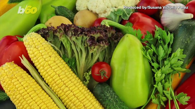 KFC Might Serve Plant-Based Chicken in the Future